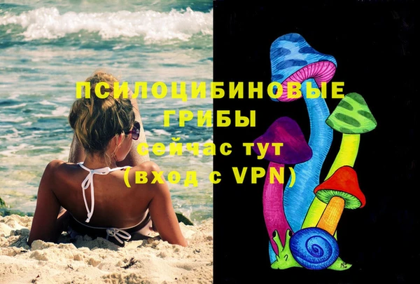 спиды Алексеевка
