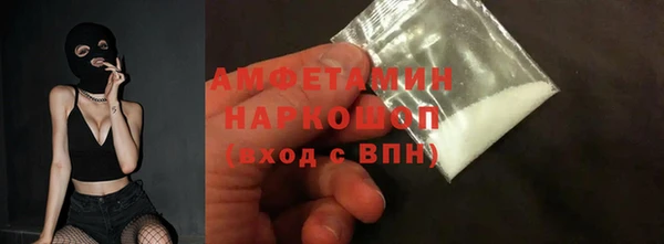 стаф Алзамай