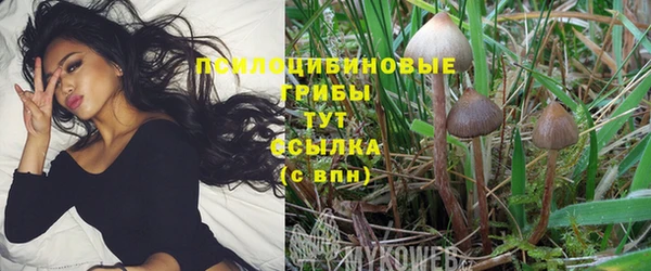 кокаин перу Абаза