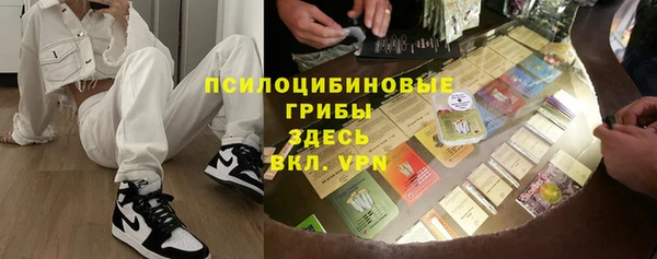 ешки Алексин