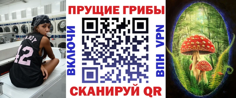 Псилоцибиновые грибы прущие грибы сколько стоит Болохово